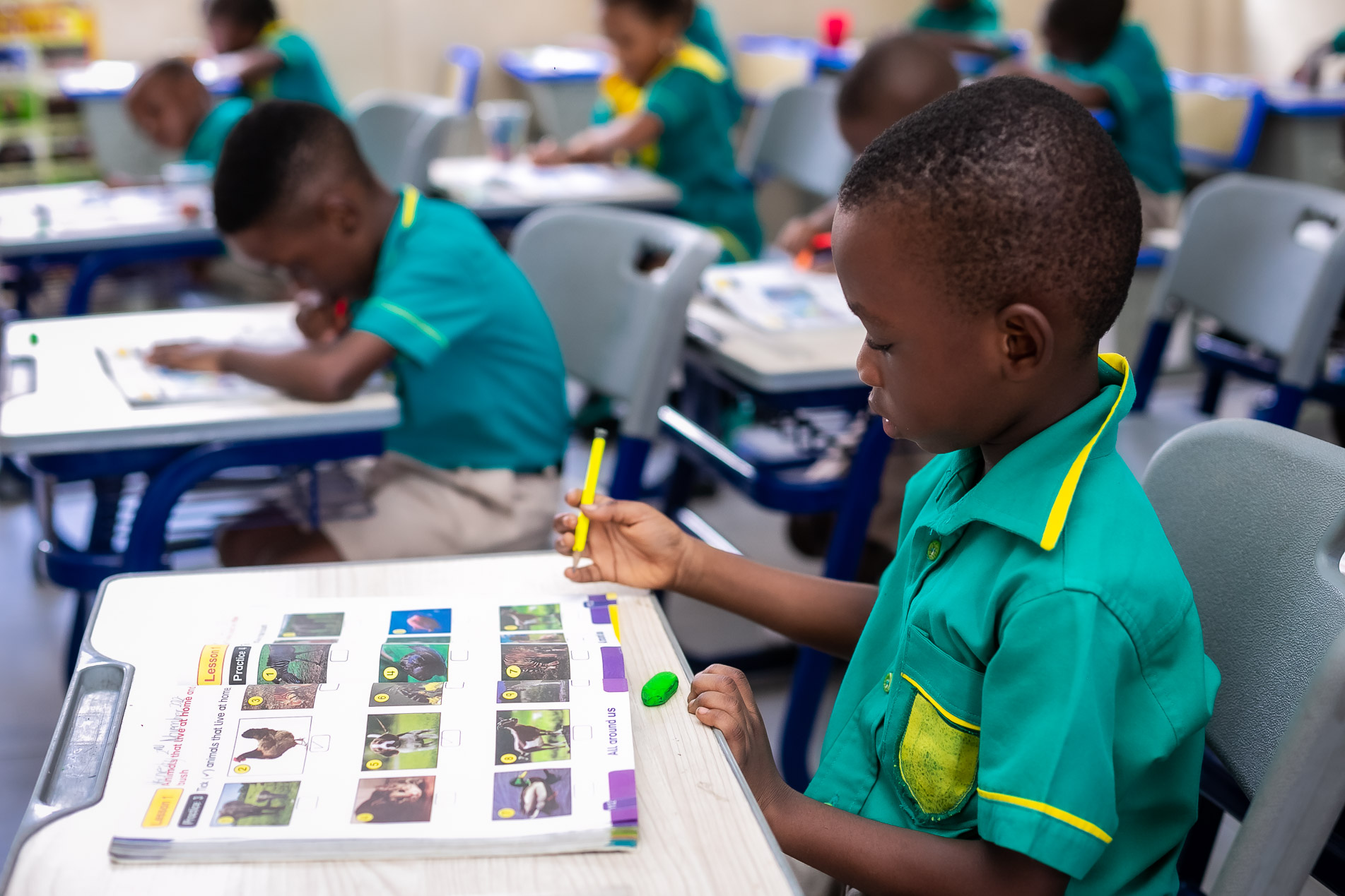 480710313_1158473219401859_5536068170403983416_n